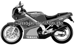 TZR 250