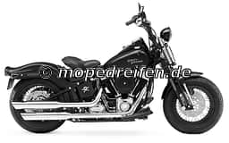 FLSTSB SOFTAIL CROSS BONES 09-