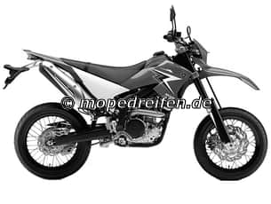 WR 250 X