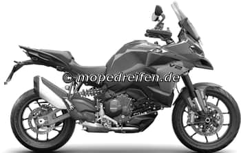 MULTISTRADA V2 / S