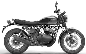 BEAR 650