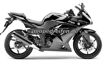NINJA 250 R-EX250K / P / e1*2002/24****
