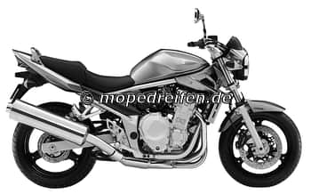 GSF 650 A / SA AB 2007 (ABS)-WVCJ / e4****