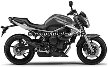 XJ 6 / DIVERSION AB 2009-RJ19 / e13*2002/24****