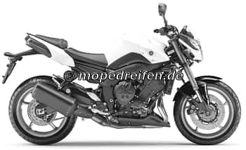 FZ8 / FAZER AB 2010-RN25 / e13*2002/24****