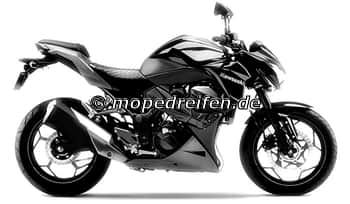 Z 300-ER300A / e1*2002/24****