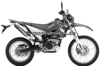 WR 250 R-DG20 / e13*2002/24****
