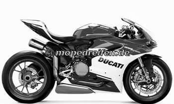 1299 Panigale R / FE-HC02 / e49*168/2013****