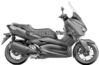 X-MAX 300-SH 13/14/28 / e13*168/2013****