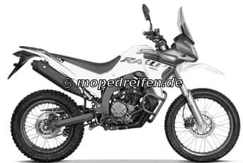 300 RALLY-LX300GY / e13*168/2013***